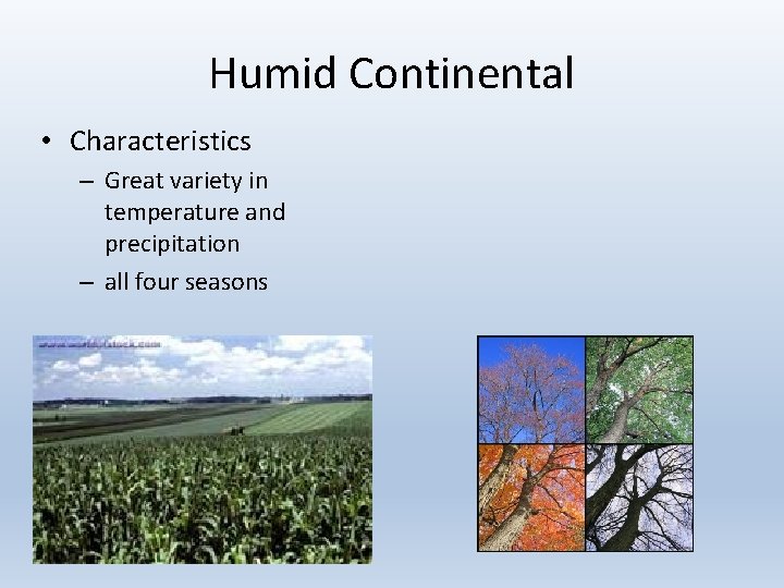 Humid Continental • Characteristics – Great variety in temperature and precipitation – all four