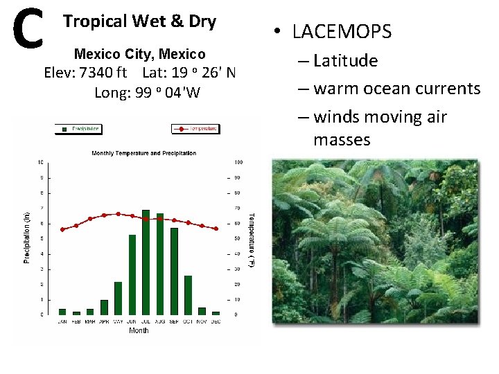 C Tropical Wet & Dry Mexico City, Mexico Elev: 7340 ft Lat: 19 o