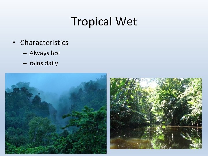 Tropical Wet • Characteristics – Always hot – rains daily 