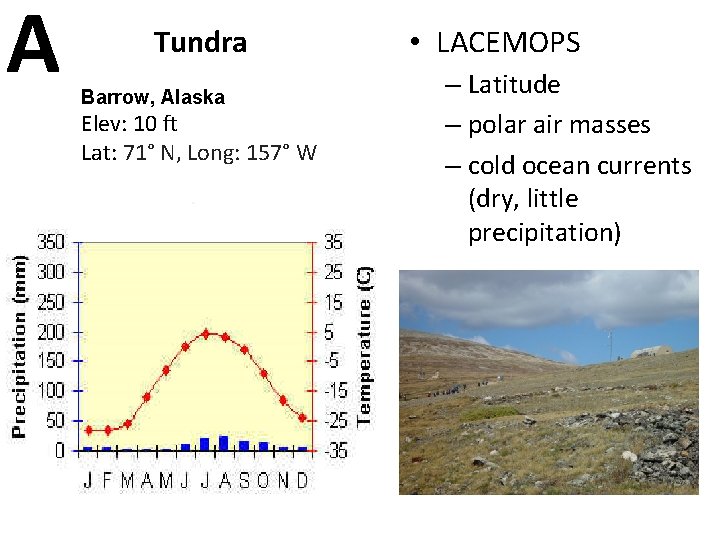 A Tundra Barrow, Alaska Elev: 10 ft Lat: 71° N, Long: 157° W •