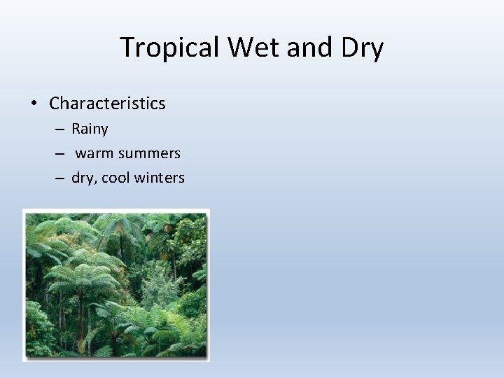 Tropical Wet and Dry • Characteristics – Rainy – warm summers – dry, cool