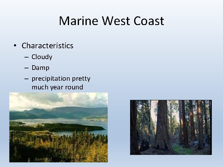 Marine West Coast • Characteristics – Cloudy – Damp – precipitation pretty much year