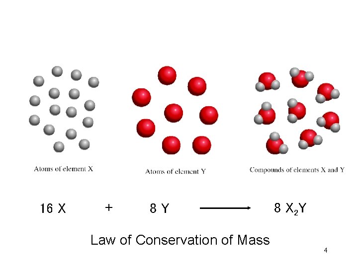 16 X + 8 Y Law of Conservation of Mass 8 X 2 Y