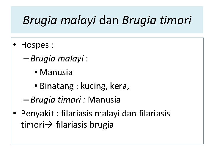 Brugia malayi dan Brugia timori • Hospes : – Brugia malayi : • Manusia Brugia malayi dan Brugia timori • Hospes : – Brugia malayi : • Manusia