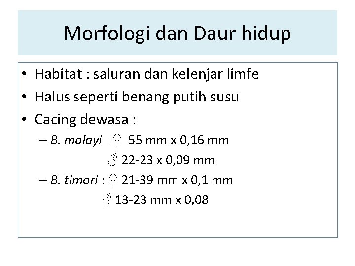 Morfologi dan Daur hidup • Habitat : saluran dan kelenjar limfe • Halus seperti Morfologi dan Daur hidup • Habitat : saluran dan kelenjar limfe • Halus seperti