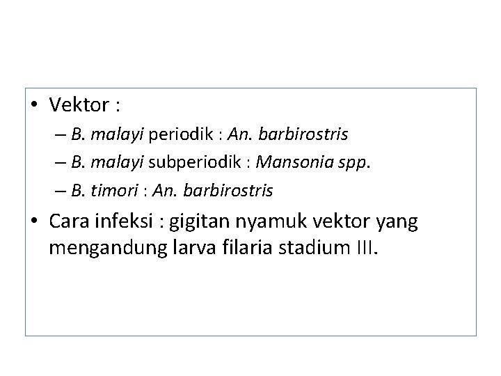• Vektor : – B. malayi periodik : An. barbirostris – B. malayi • Vektor : – B. malayi periodik : An. barbirostris – B. malayi