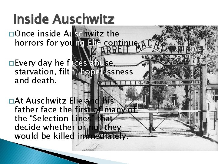 Inside Auschwitz � Once inside Auschwitz the horrors for young Elie continue. � Every