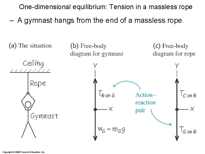 One-dimensional equilibrium: Tension in a massless rope – A gymnast hangs from the end One-dimensional equilibrium: Tension in a massless rope – A gymnast hangs from the end