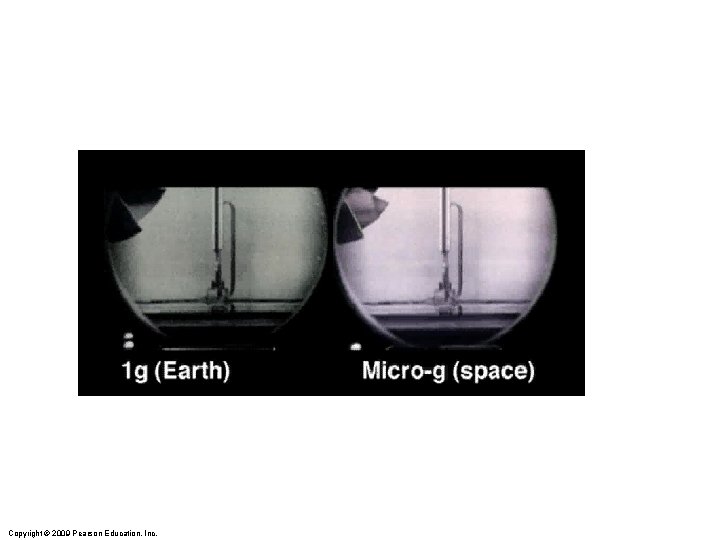 Copyright © 2009 Pearson Education, Inc. Copyright © 2009 Pearson Education, Inc.