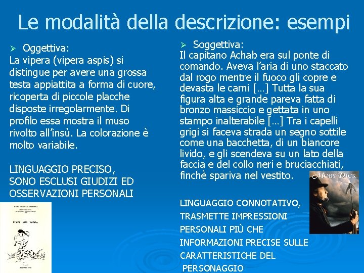 Le modalità della descrizione: esempi Oggettiva: La vipera (vipera aspis) si distingue per avere