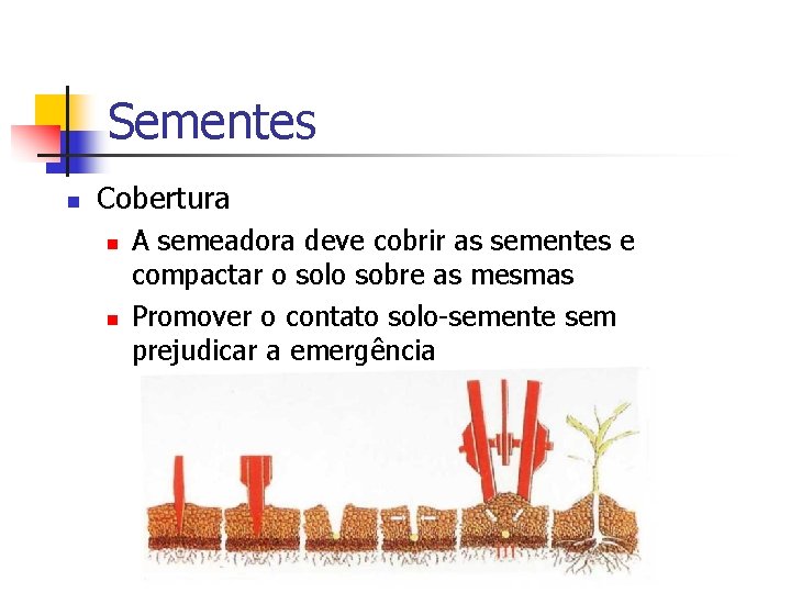 Sementes n Cobertura n n A semeadora deve cobrir as sementes e compactar o