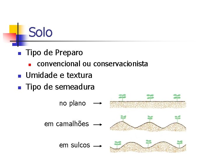 Solo n Tipo de Preparo n n n convencional ou conservacionista Umidade e textura