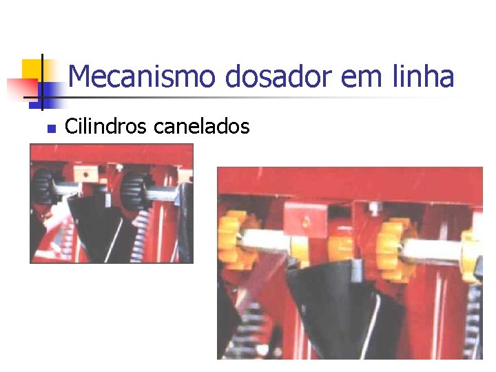 Mecanismo dosador em linha n Cilindros canelados 