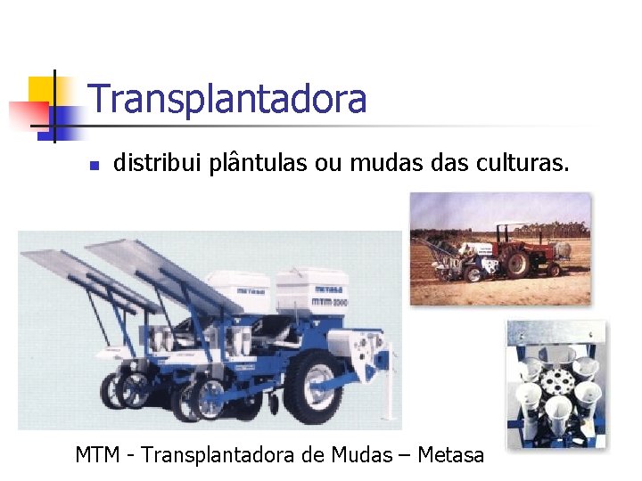 Transplantadora n distribui plântulas ou mudas culturas. MTM - Transplantadora de Mudas – Metasa