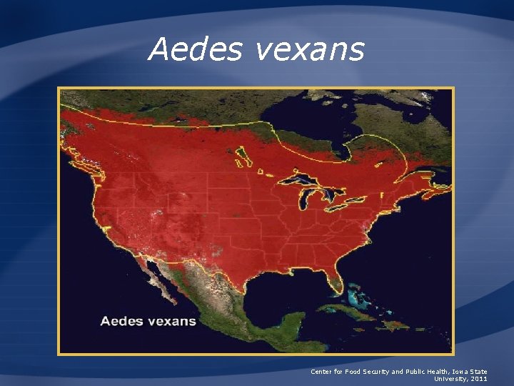 Aedes vexans Center for Food Security and Public Health, Iowa State University, 2011 