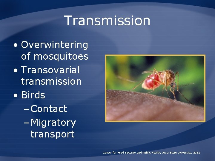 Transmission • Overwintering of mosquitoes • Transovarial transmission • Birds – Contact – Migratory