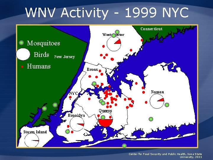 WNV Activity - 1999 NYC Mosquitoes Birds Humans Center for Food Security and Public