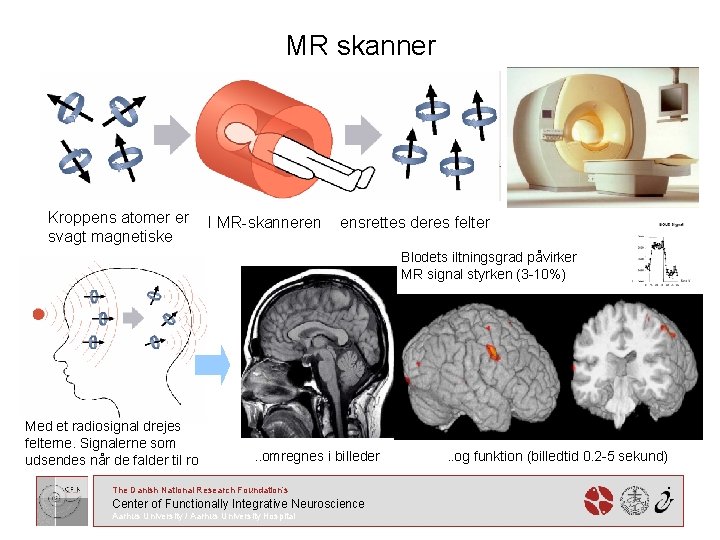 MR skanner Kroppens atomer er svagt magnetiske I MR-skanneren ensrettes deres felter Blodets iltningsgrad