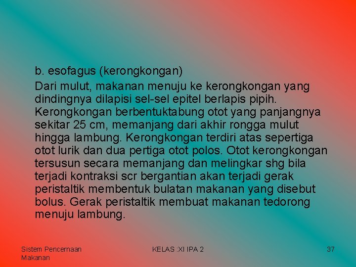 b. esofagus (kerongkongan) Dari mulut, makanan menuju ke kerongkongan yang dindingnya dilapisi sel-sel epitel b. esofagus (kerongkongan) Dari mulut, makanan menuju ke kerongkongan yang dindingnya dilapisi sel-sel epitel