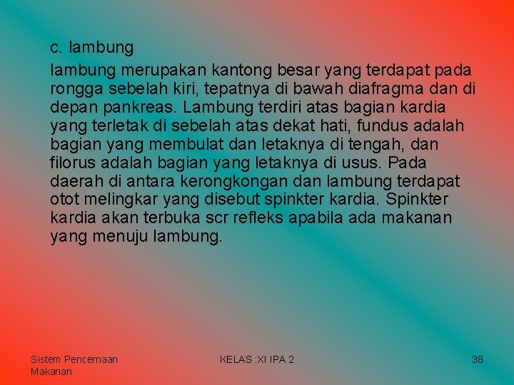 c. lambung merupakan kantong besar yang terdapat pada rongga sebelah kiri, tepatnya di bawah c. lambung merupakan kantong besar yang terdapat pada rongga sebelah kiri, tepatnya di bawah