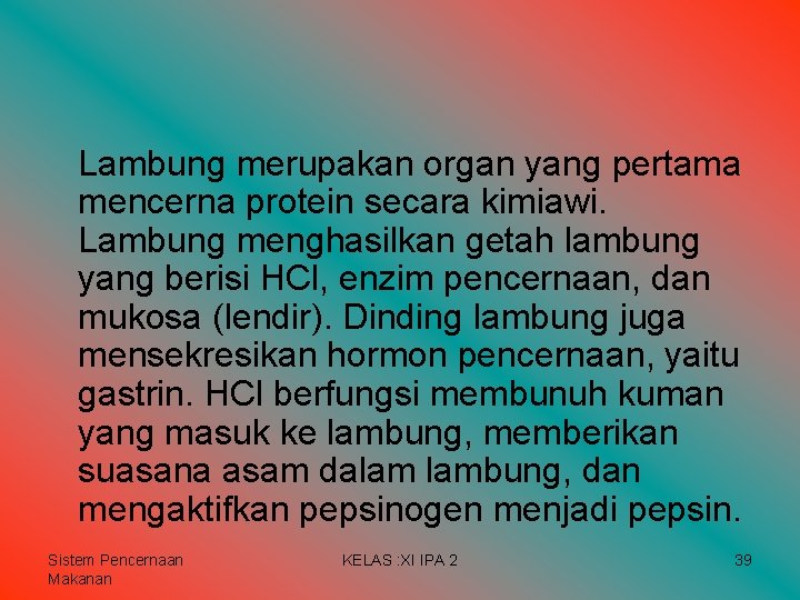 Lambung merupakan organ yang pertama mencerna protein secara kimiawi. Lambung menghasilkan getah lambung yang Lambung merupakan organ yang pertama mencerna protein secara kimiawi. Lambung menghasilkan getah lambung yang