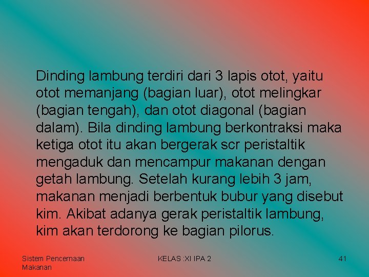 Dinding lambung terdiri dari 3 lapis otot, yaitu otot memanjang (bagian luar), otot melingkar Dinding lambung terdiri dari 3 lapis otot, yaitu otot memanjang (bagian luar), otot melingkar