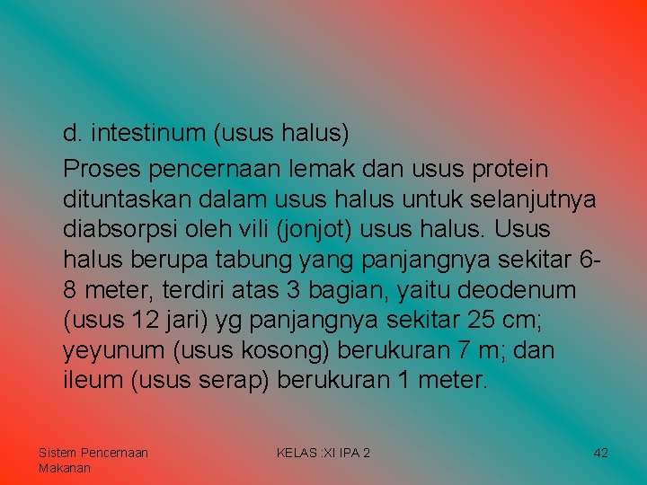 d. intestinum (usus halus) Proses pencernaan lemak dan usus protein dituntaskan dalam usus halus d. intestinum (usus halus) Proses pencernaan lemak dan usus protein dituntaskan dalam usus halus