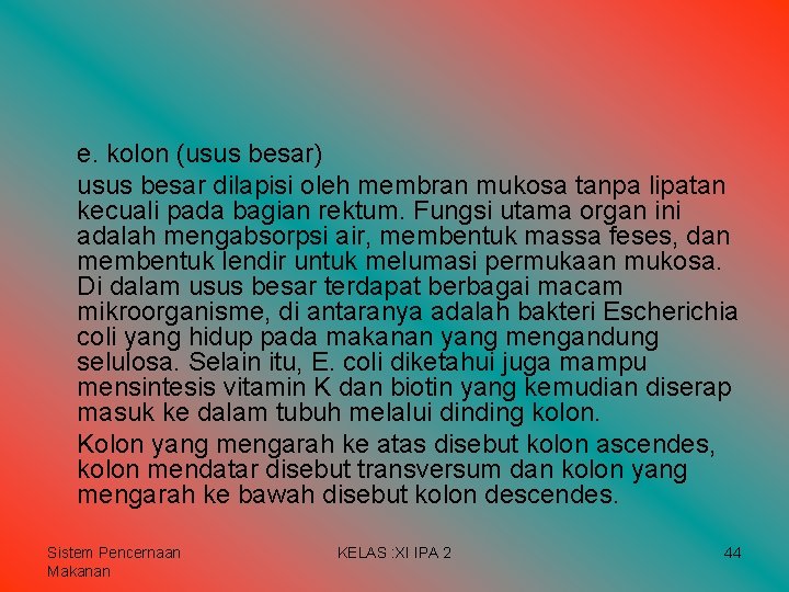 e. kolon (usus besar) usus besar dilapisi oleh membran mukosa tanpa lipatan kecuali pada e. kolon (usus besar) usus besar dilapisi oleh membran mukosa tanpa lipatan kecuali pada