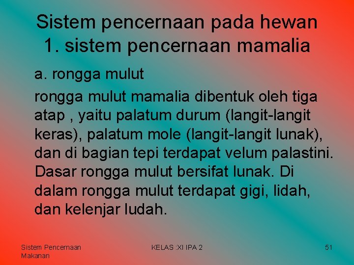 Sistem pencernaan pada hewan 1. sistem pencernaan mamalia a. rongga mulut mamalia dibentuk oleh Sistem pencernaan pada hewan 1. sistem pencernaan mamalia a. rongga mulut mamalia dibentuk oleh