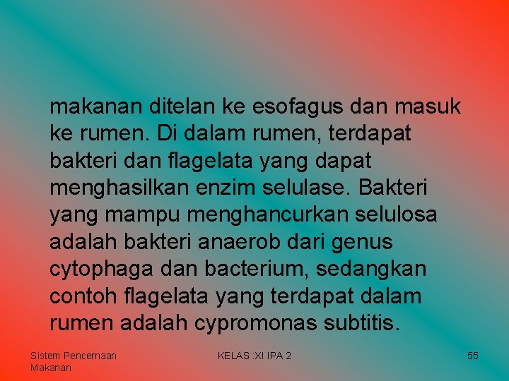 makanan ditelan ke esofagus dan masuk ke rumen. Di dalam rumen, terdapat bakteri dan makanan ditelan ke esofagus dan masuk ke rumen. Di dalam rumen, terdapat bakteri dan