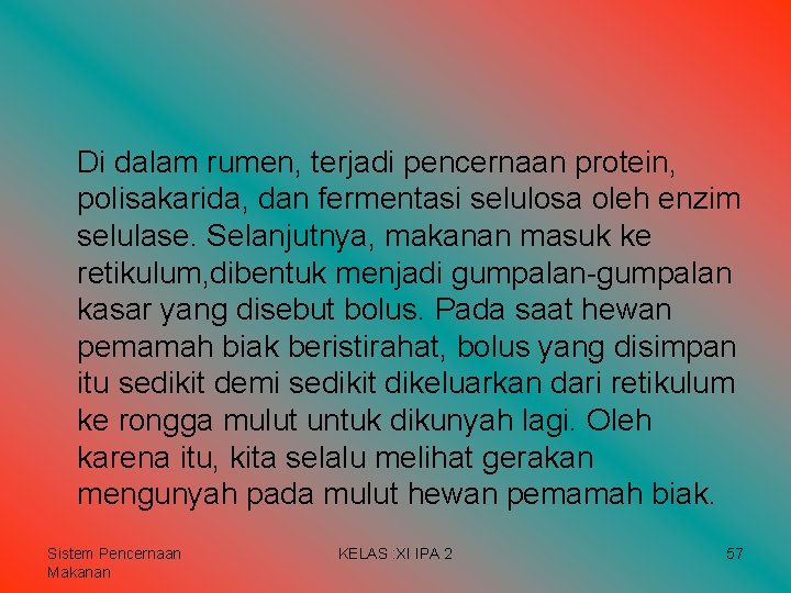 Di dalam rumen, terjadi pencernaan protein, polisakarida, dan fermentasi selulosa oleh enzim selulase. Selanjutnya, Di dalam rumen, terjadi pencernaan protein, polisakarida, dan fermentasi selulosa oleh enzim selulase. Selanjutnya,