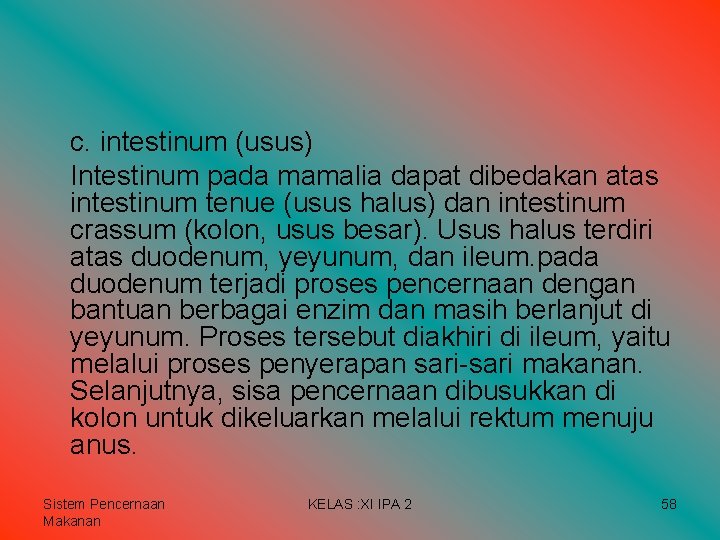 c. intestinum (usus) Intestinum pada mamalia dapat dibedakan atas intestinum tenue (usus halus) dan c. intestinum (usus) Intestinum pada mamalia dapat dibedakan atas intestinum tenue (usus halus) dan