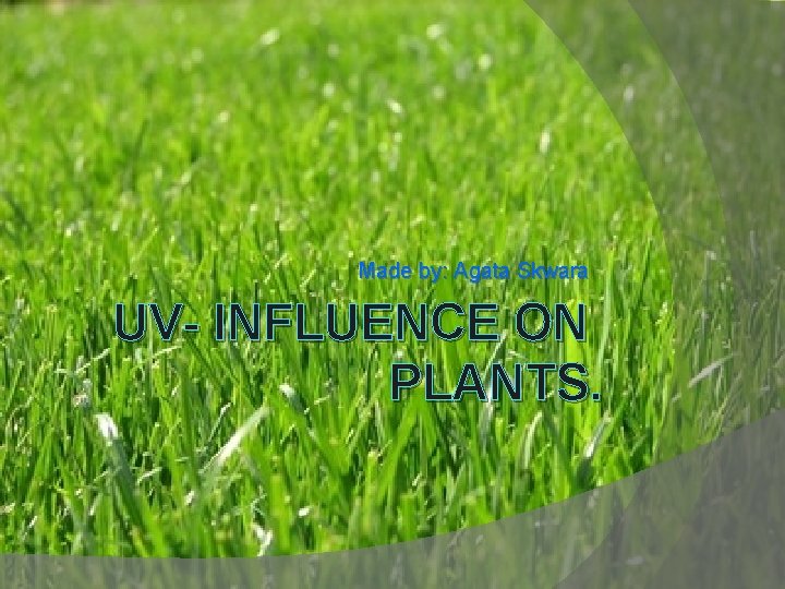 Made by: Agata Skwara UV- INFLUENCE ON PLANTS. 