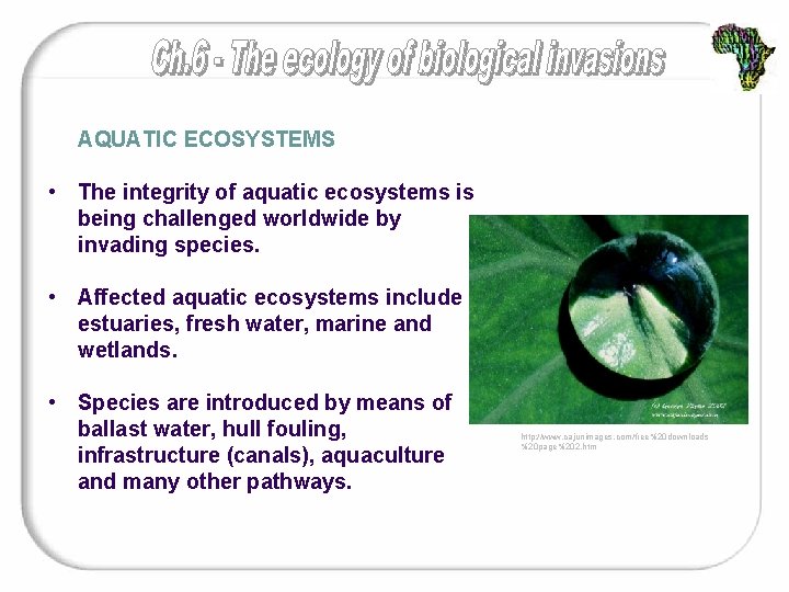 AQUATIC ECOSYSTEMS • The integrity of aquatic ecosystems is being challenged worldwide by invading