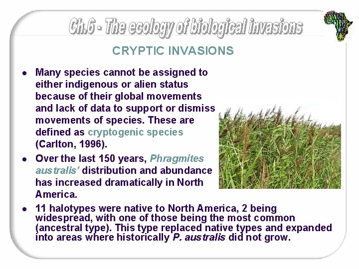 CRYPTIC INVASIONS l l l Many species cannot be assigned to either indigenous or