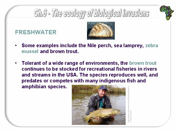 FRESHWATER • Some examples include the Nile perch, sea lamprey, zebra mussel and brown