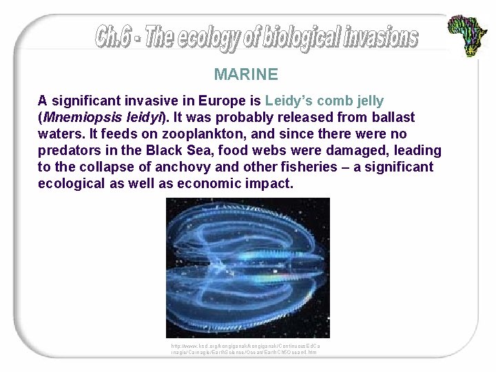 MARINE A significant invasive in Europe is Leidy’s comb jelly (Mnemiopsis leidyi). It was