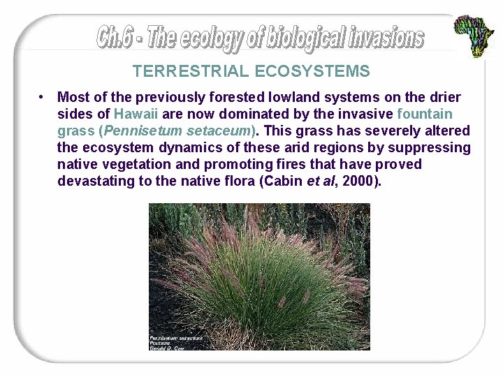 TERRESTRIAL ECOSYSTEMS • Most of the previously forested lowland systems on the drier sides