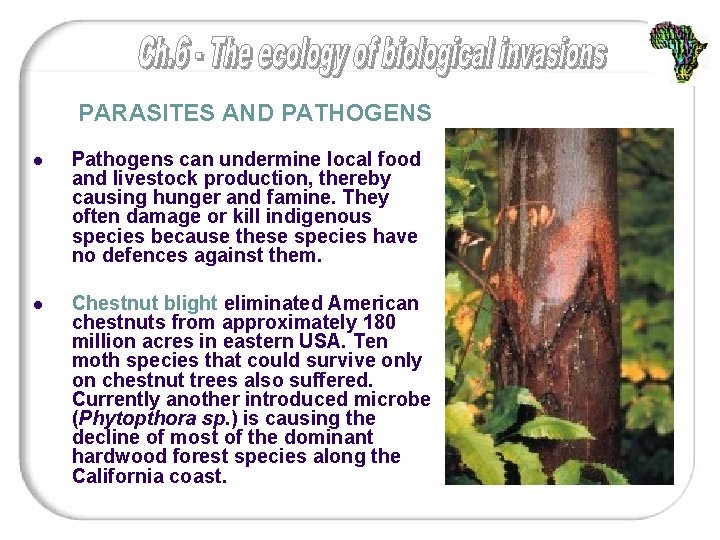 PARASITES AND PATHOGENS l Pathogens can undermine local food and livestock production, thereby causing