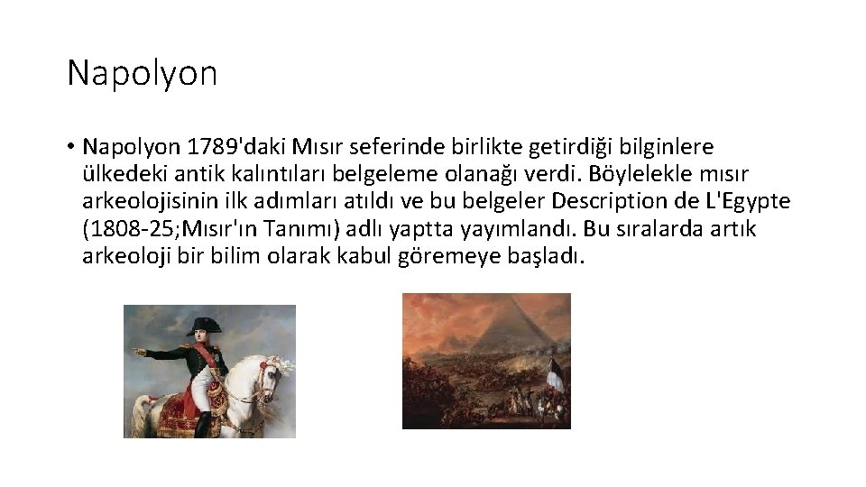 Napolyon • Napolyon 1789'daki Mısır seferinde birlikte getirdiği bilginlere ülkedeki antik kalıntıları belgeleme olanağı