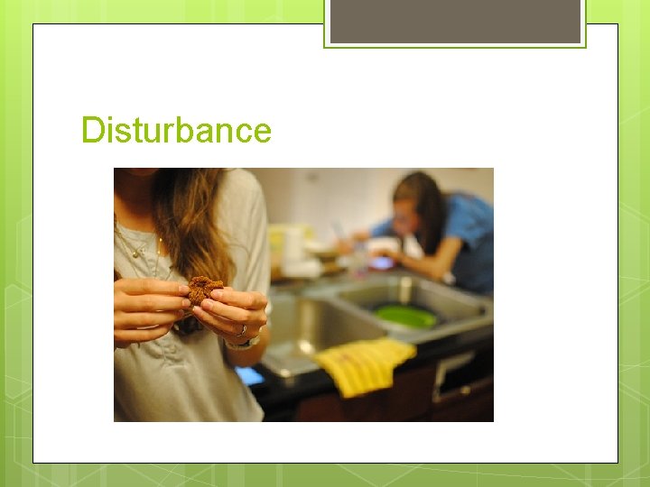 Disturbance 