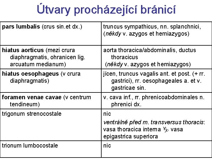 Útvary procházející bránicí pars lumbalis (crus sin. et dx. ) truncus sympathicus, nn. splanchnici,