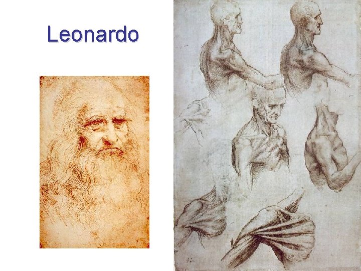 Leonardo 