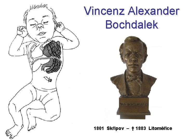 Vincenz Alexander Bochdalek 1801 Skřipov – † 1883 Litoměřice 
