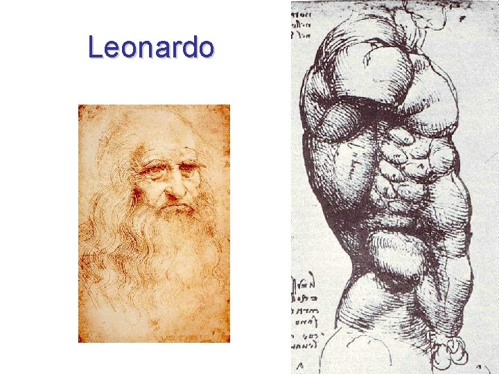 Leonardo 