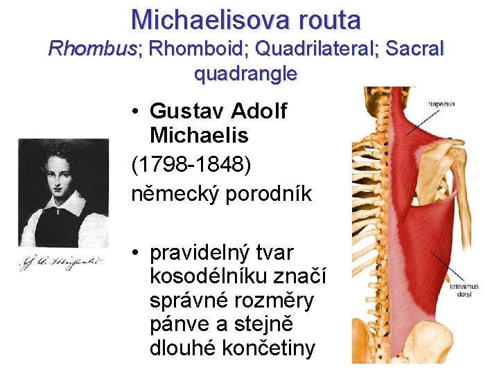 Michaelisova routa Rhombus; Rhomboid; Quadrilateral; Sacral quadrangle • Gustav Adolf Michaelis (1798 -1848) německý