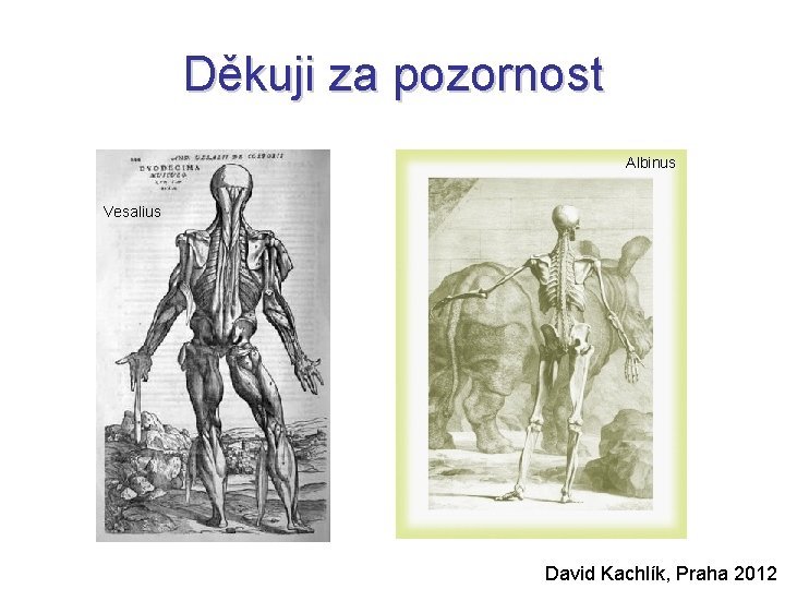 Děkuji za pozornost Albinus Vesalius David Kachlík, Praha 2012 