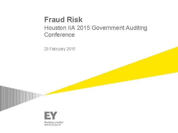Fraud Risk Houston IIA 2015 Government Auditing Conference 23 February 2015 Fraud Risk Houston IIA 2015 Government Auditing Conference 23 February 2015