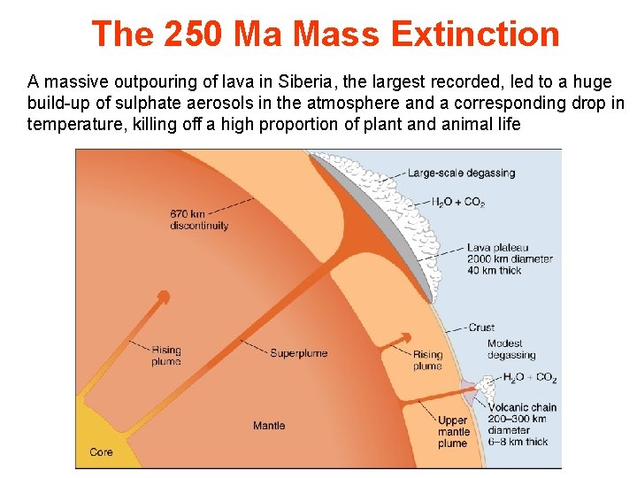 The 250 Ma Mass Extinction A massive outpouring of lava in Siberia, the largest