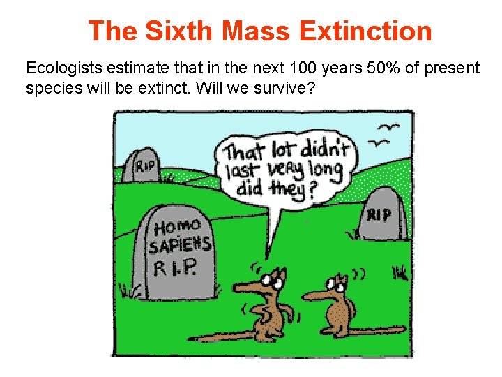 The Sixth Mass Extinction Ecologists estimate that in the next 100 years 50% of